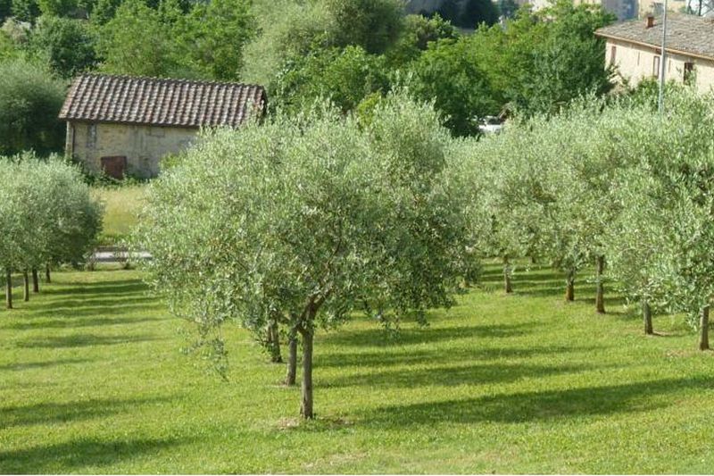 Sangallo Park 3* Siena